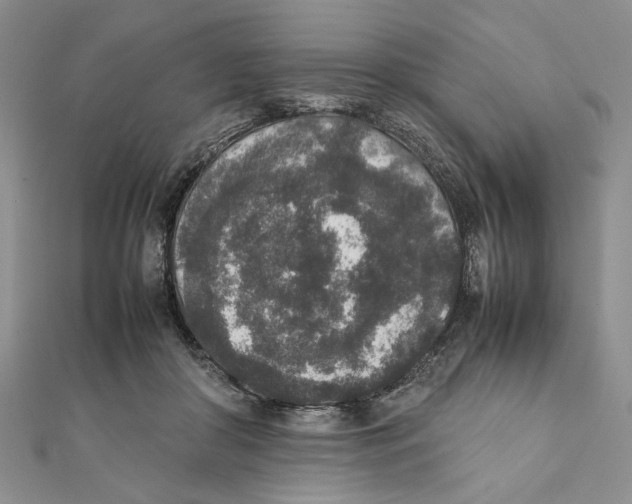 X0000111650410200908141256