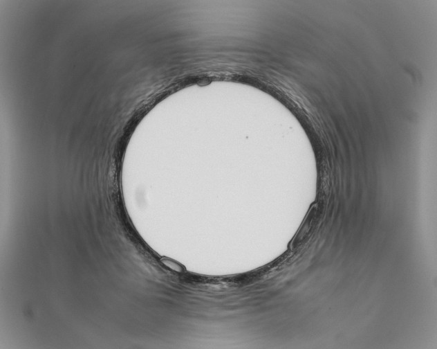 X0000111650411200908141256
