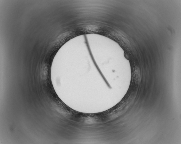 X0000111650412200908141256