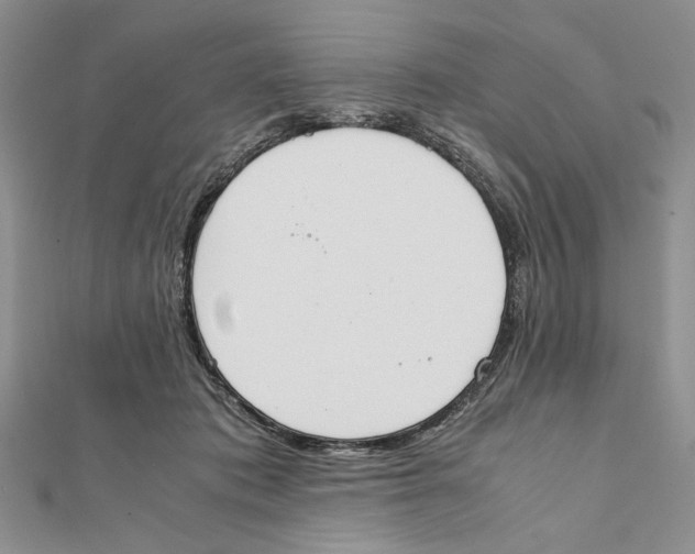 X0000111650413200908141256