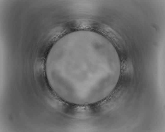 X0000111650415200908141256