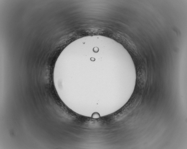 X0000111650416200908141256