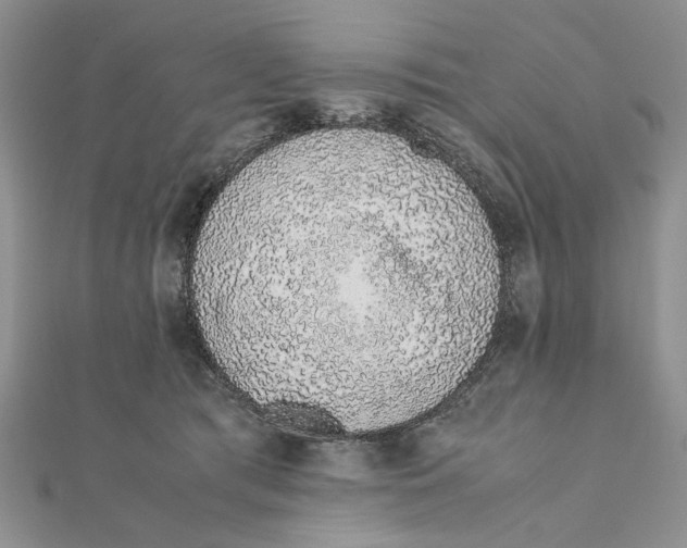 X0000111650417200908141256
