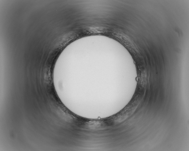 X0000111650418200908141256