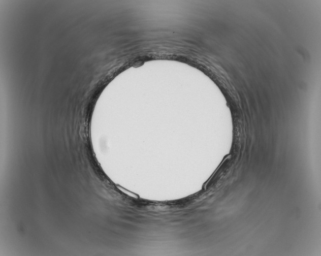 X0000111650419200908141256