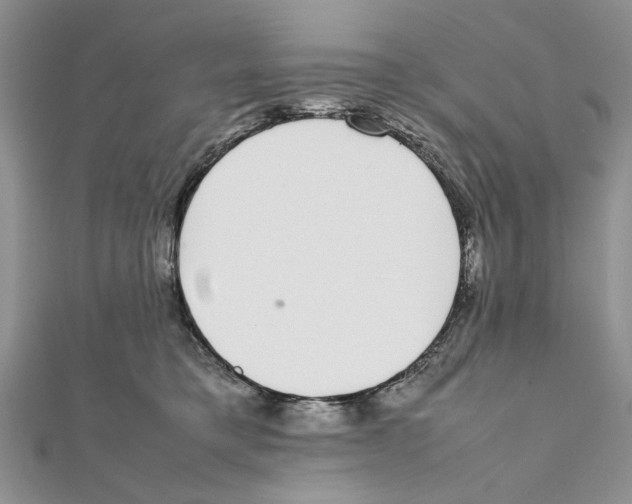 X0000111650421200908141256
