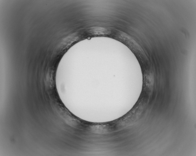 X0000111650422200908141256