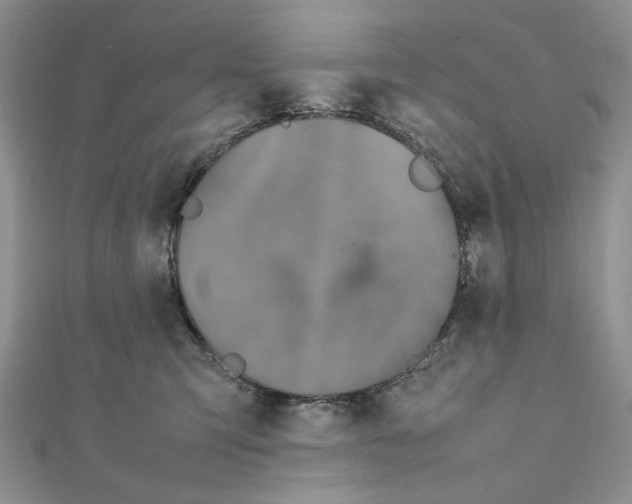 X0000111650423200908141256
