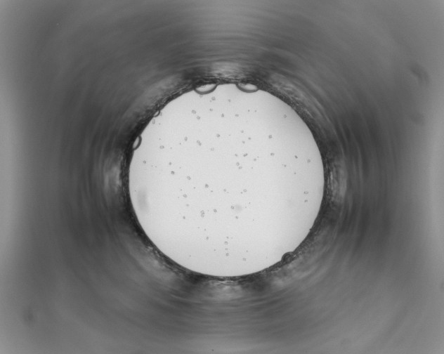 X0000111650424200908141256