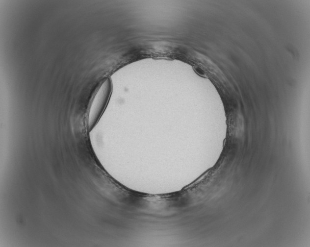 X0000111650425200908141256