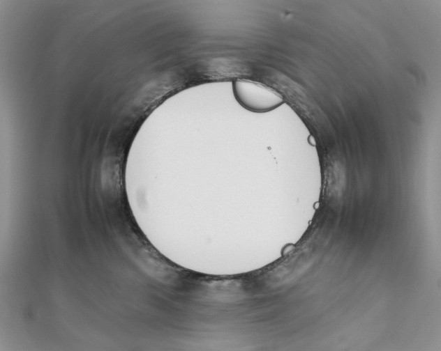 X0000111650426200908141256