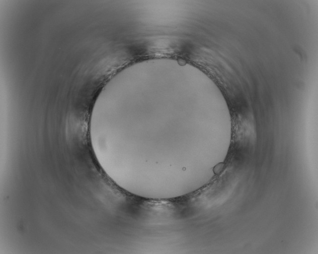 X0000111650427200908141256