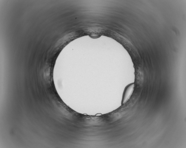 X0000111650428200908141256
