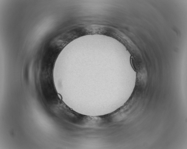 X0000111650429200908141256