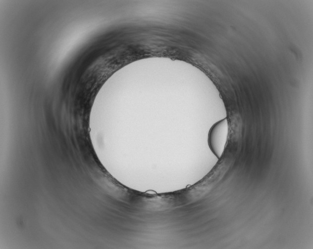 X0000111650430200908141256