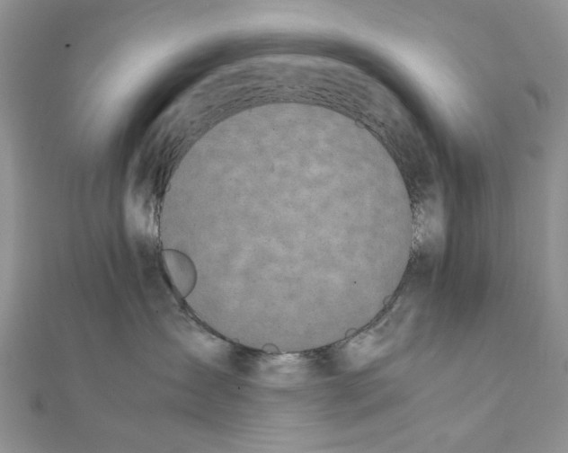 X0000111650431200908141256