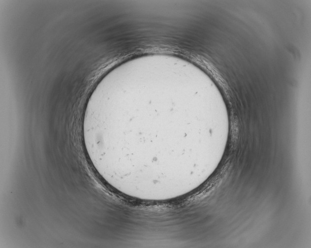X0000111650433200908141255