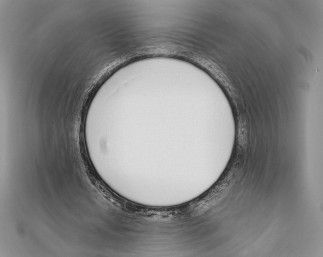 X0000111650434200908141255