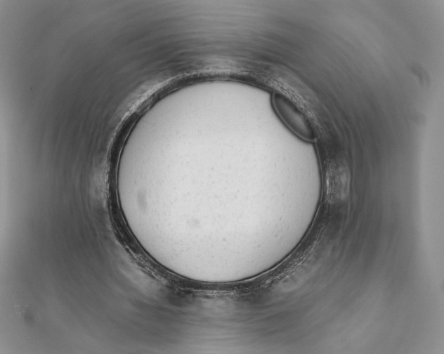 X0000111650436200908141255
