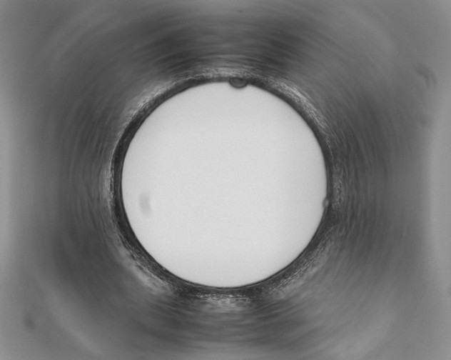 X0000111650439200908141255