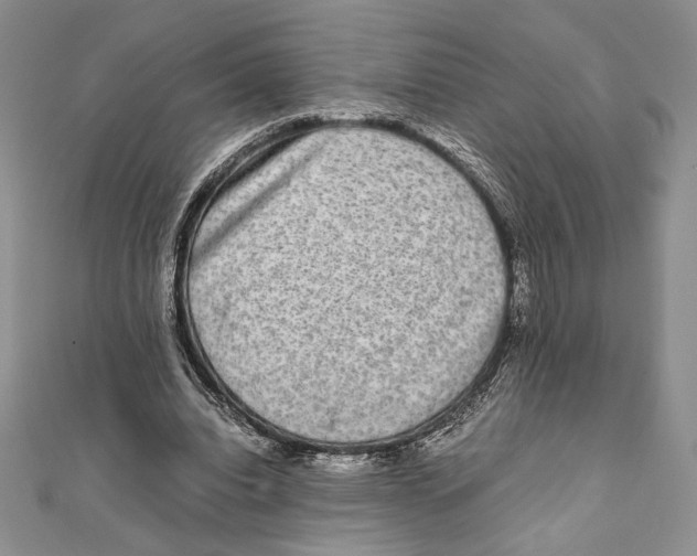 X0000111650440200908141255