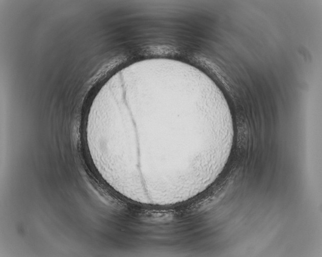 X0000111650443200908141255