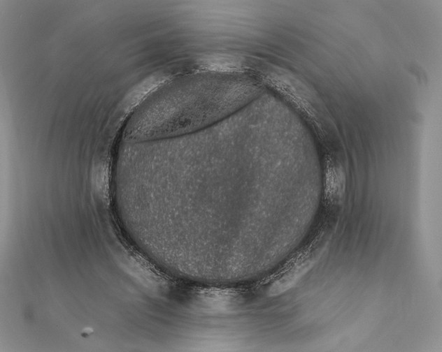 X0000111650444200908141255