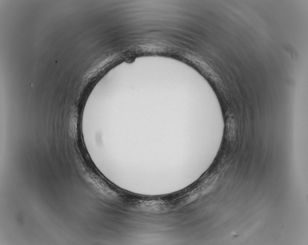 X0000111650446200908141255