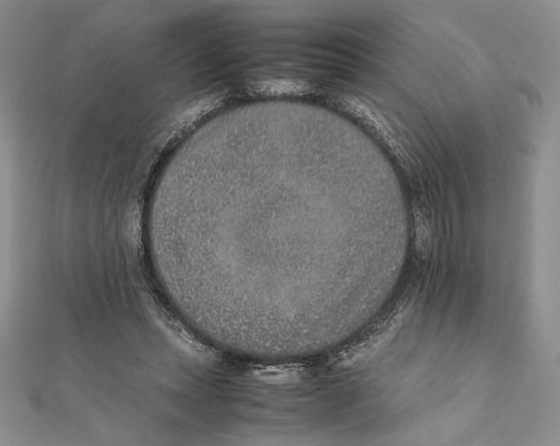 X0000111650447200908141255