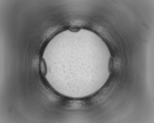X0000111650448200908141255