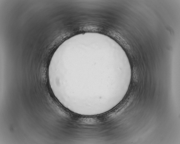 X0000111650449200908141255