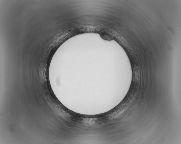 X0000111650450200908141255