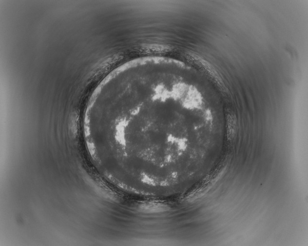 X0000111650451200908141255