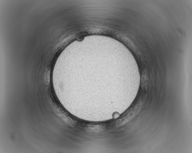 X0000111650454200908141255
