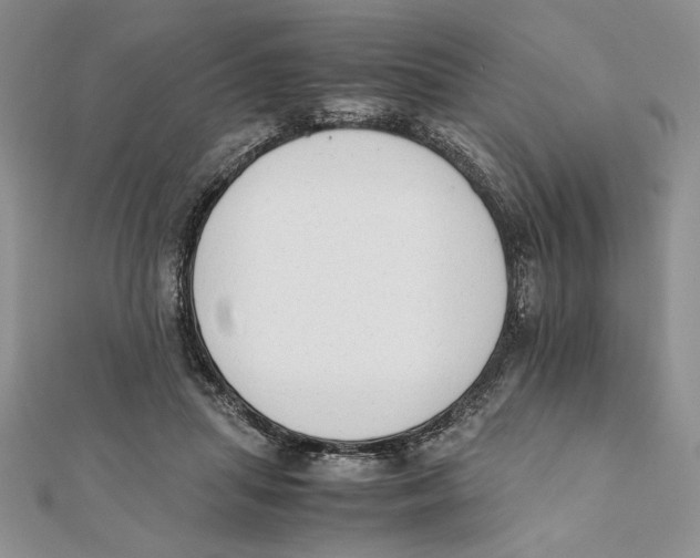 X0000111650455200908141255