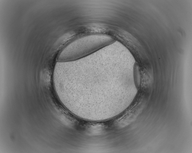 X0000111650456200908141255
