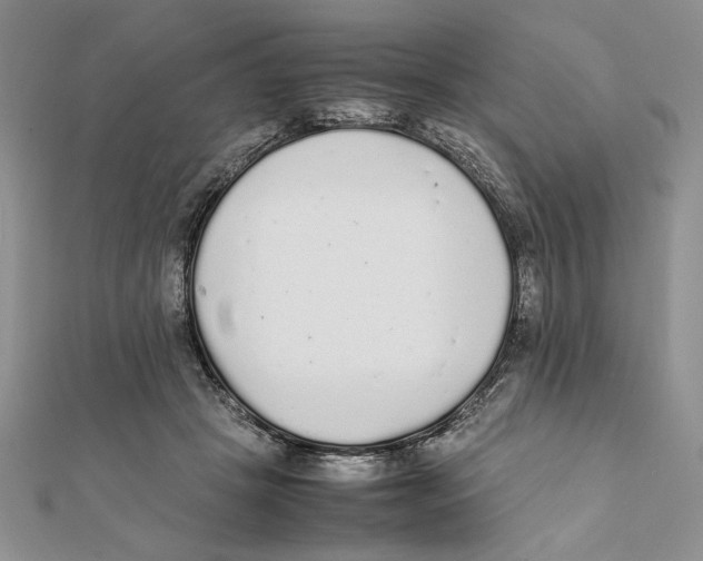 X0000111650457200908141255