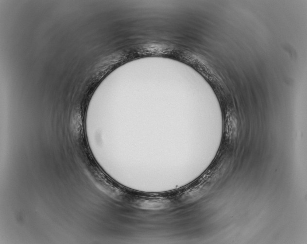 X0000111650459200908141255