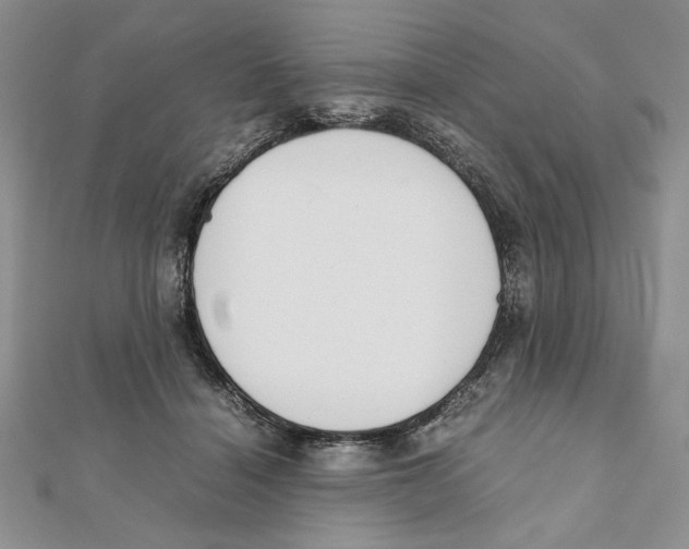 X0000111650460200908141256