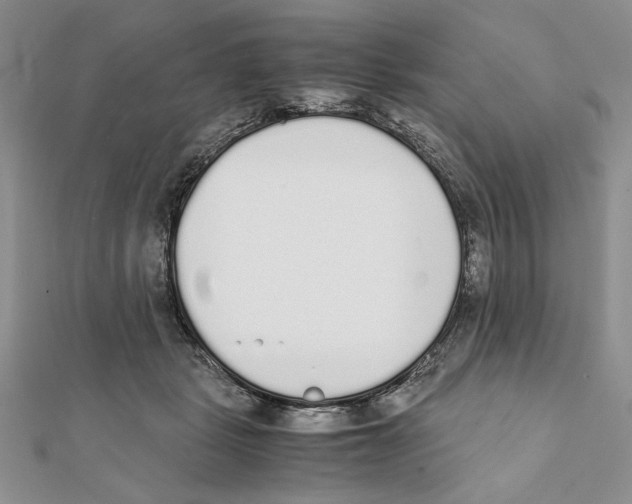 X0000111650461200908141256