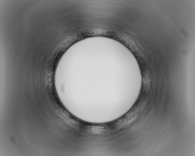 X0000111650462200908141256