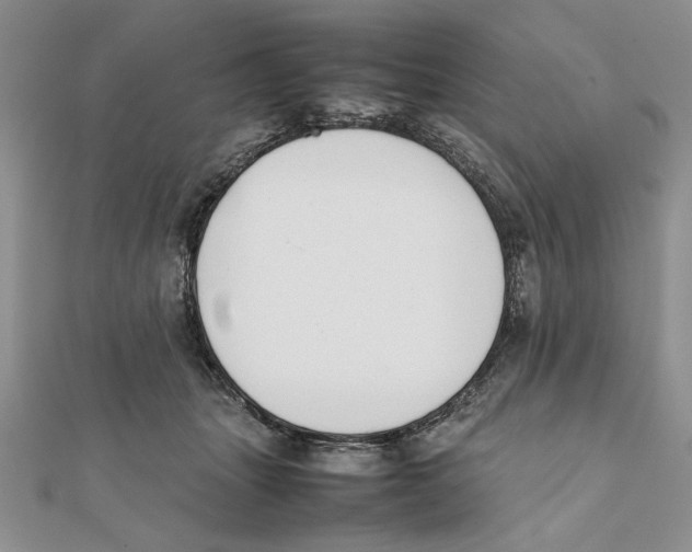 X0000111650463200908141256