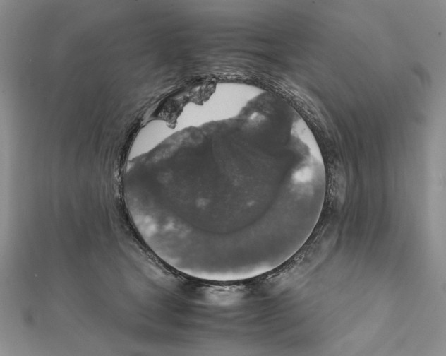 X0000111650465200908141256