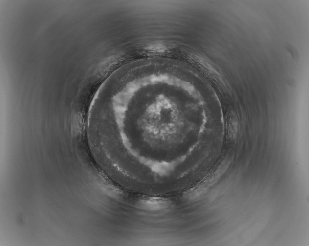 X0000111650467200908141256