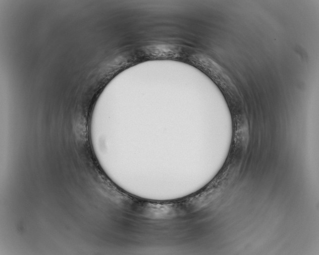 X0000111650469200908141256