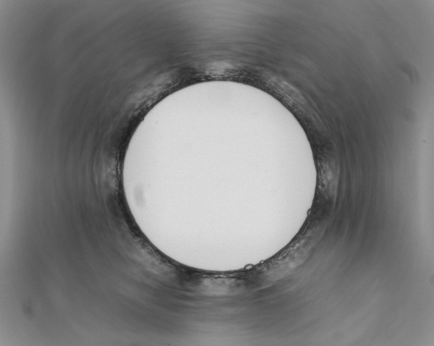 X0000111650470200908141256