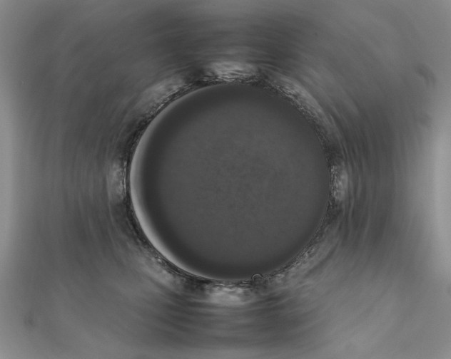 X0000111650471200908141256