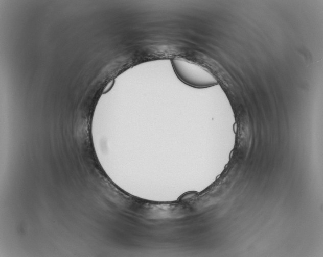 X0000111650473200908141256