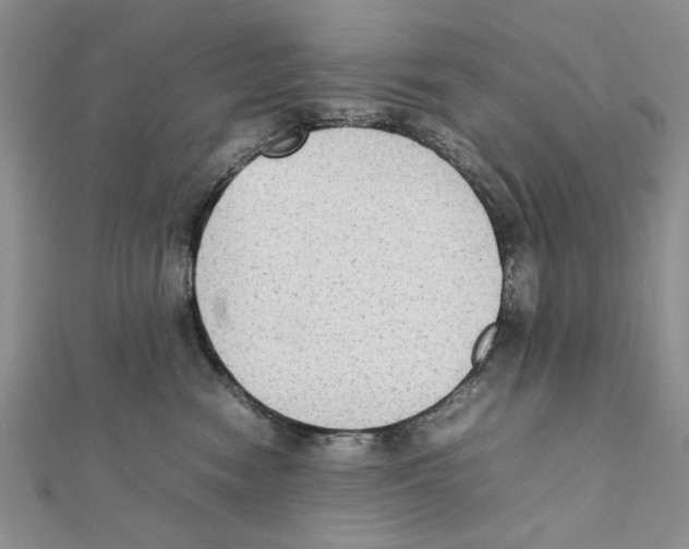 X0000111650474200908141256
