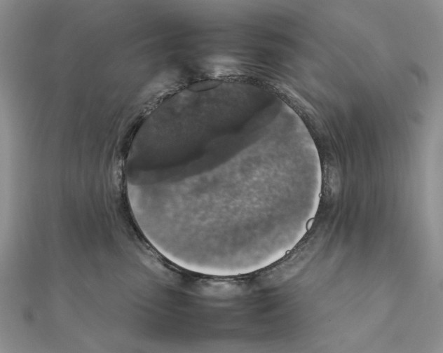 X0000111650475200908141256